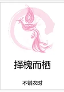 擇槐而棲 封面