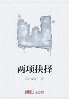 兩項抉擇 封面