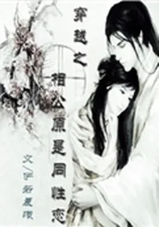 穿越之相公原是同性戀 封面