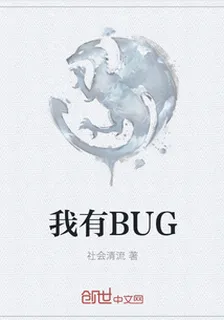 我有BUG 封面