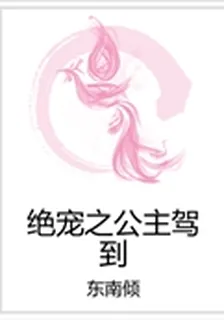 絕寵之公主駕到 封面