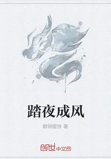 踏夜成風 封面