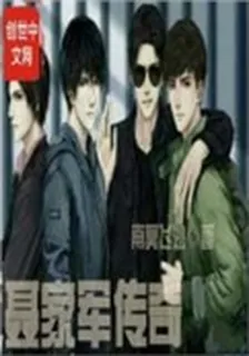 聶家軍傳奇 封面