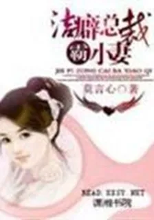 潔癖總裁霸小妻 封面