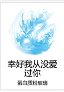 幸好我從沒愛過你 封面