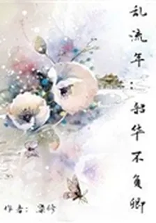 亂流年韶華不負卿 封面