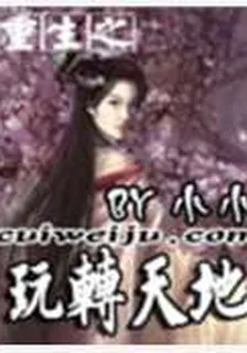 重生之玩轉天地 封面