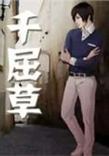 千屈草 封面
