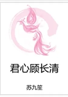 君心顧長清 封面