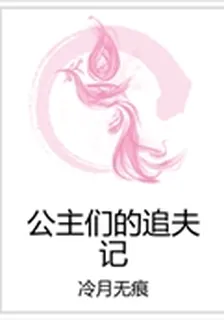 公主們的追夫記 封面