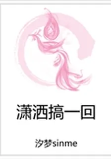 瀟灑搞一回 封面