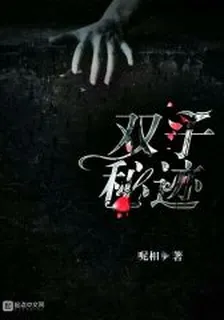 雙子祕跡 封面