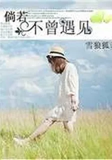 倘若不曾遇見 封面