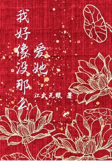 我好像沒那麼愛她 封面