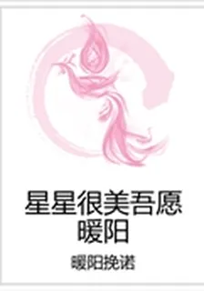 星星很美吾願暖陽 封面