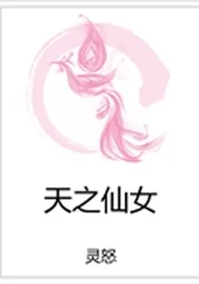 天之仙女 封面