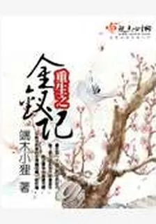重生之金釵記 封面
