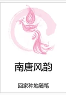 南唐風韻 封面