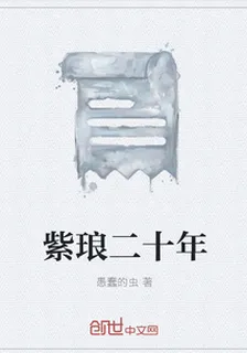 紫琅二十年 封面