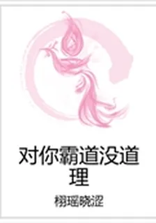 對你霸道沒道理 封面
