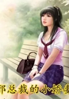 邪總裁的小嬌妻 封面