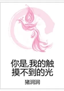 你是，我的觸摸不到的光 封面
