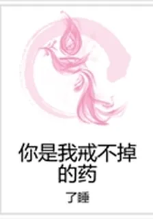 你是我戒不掉的藥 封面