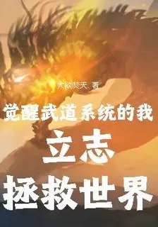 覺醒武道系統的我立志拯救世界 封面