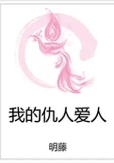 我的仇人愛人 封面