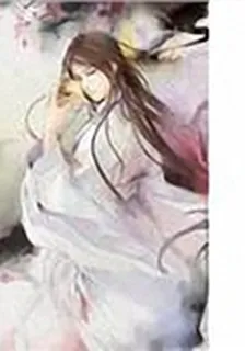 落梅 封面