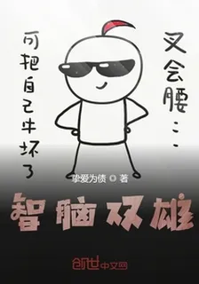 智腦雙雄 封面