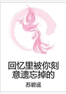 回憶裏被你刻意遺忘掉的 封面