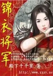 錦衣將軍 封面