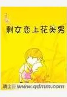 剩女戀上花美男 封面