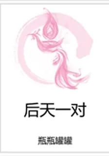 後天一對 封面