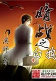 夜幕下的硝煙 封面