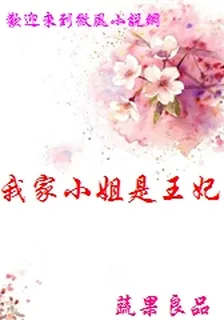 我家小姐是王妃 封面