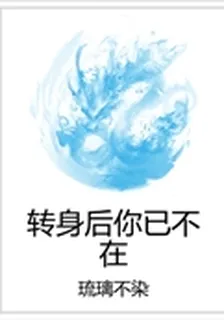 轉身後你已不在 封面