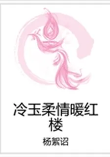 冷玉柔情暖紅樓 封面