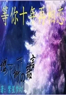 等你十年再相戀 封面
