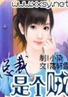 總裁是個賊 封面