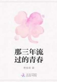 那三年流過的青春 封面