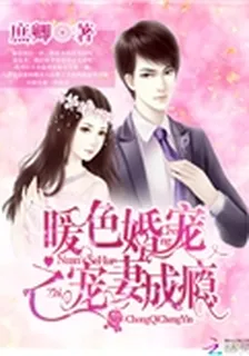 暖色婚寵之寵妻成癮 封面