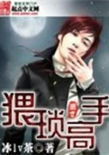 猥瑣高手 封面
