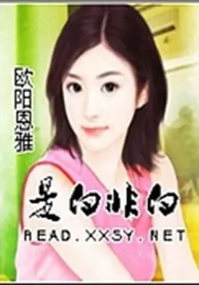 是白非白 封面