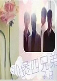 沙煲四兄弟 封面