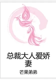 總裁大人愛嬌妻 封面