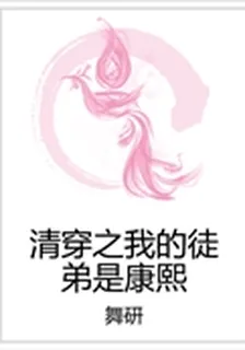 清穿之我的徒弟是康熙 封面