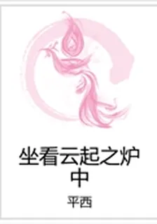 坐看雲起之爐中 封面