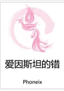 愛因斯坦的錯 封面